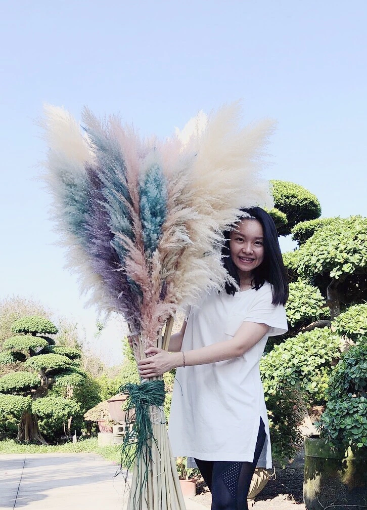洪宜君