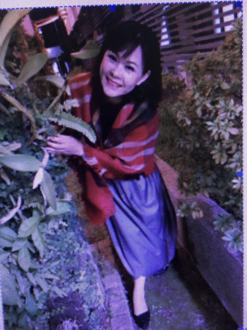 徐美鈴